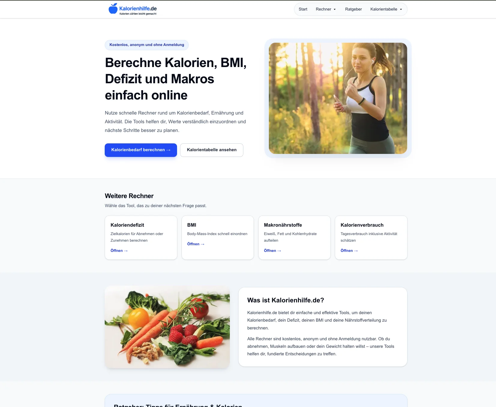 Larger Web Presence – Guides & Tools
